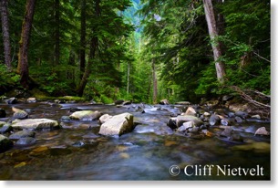 Top of Carter Falls, Nisqually River