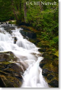 Nisqually River falls